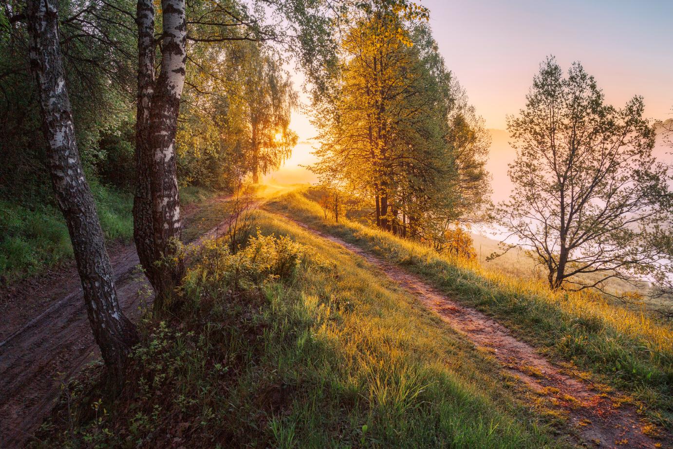 1382x922, 361 Kb / утро, рассвет, туман, дорога, лес, береза