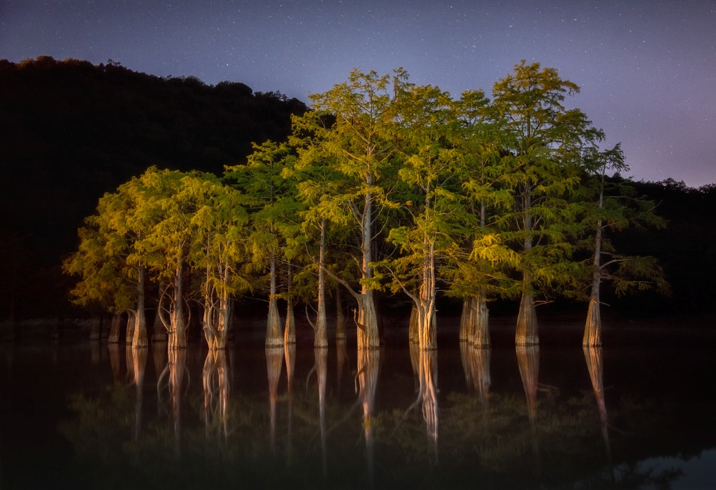 1024x702, 315 Kb / Анапа, озеро Сукко, кипарис, ночь, звёзды, лето