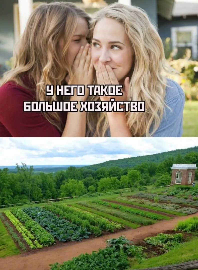 791x1080, 230 Kb / хозяйство, девушки