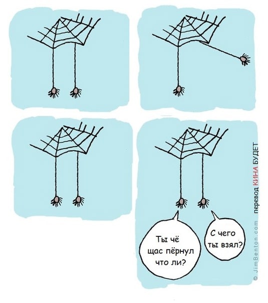 535x604, 36 Kb / паутина, паук