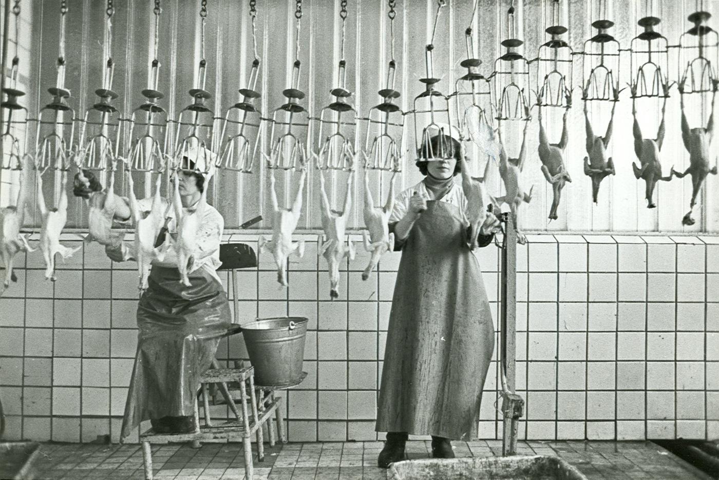 1400x936, 571 Kb / женщины, комбинат, конвейер, куры, ведро, фартуки, ч/б