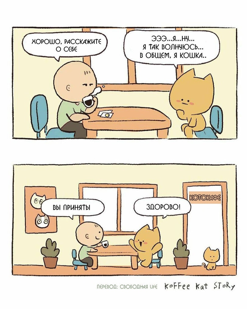 811x1015, 212 Kb / собеседование, интервью, кот