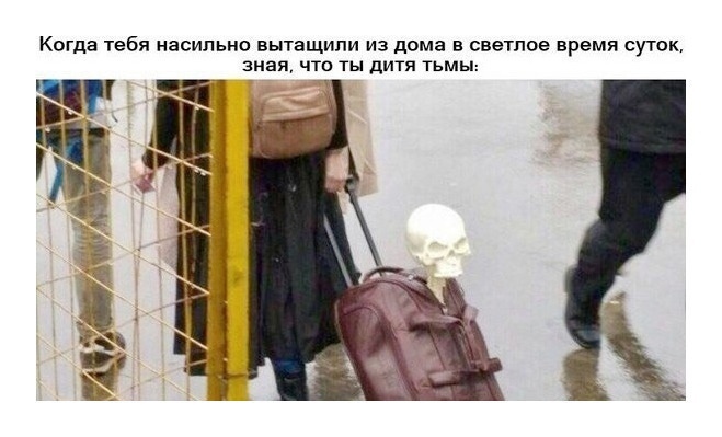 659x399, 87 Kb / скелет, чемодан, сумка