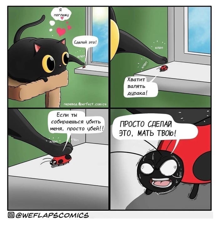 700x720, 122 Kb / кот, божья коровка, подоконник