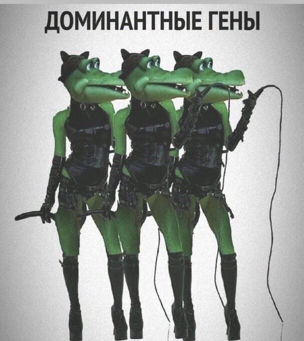 607x680, 68 Kb / доминантные гены