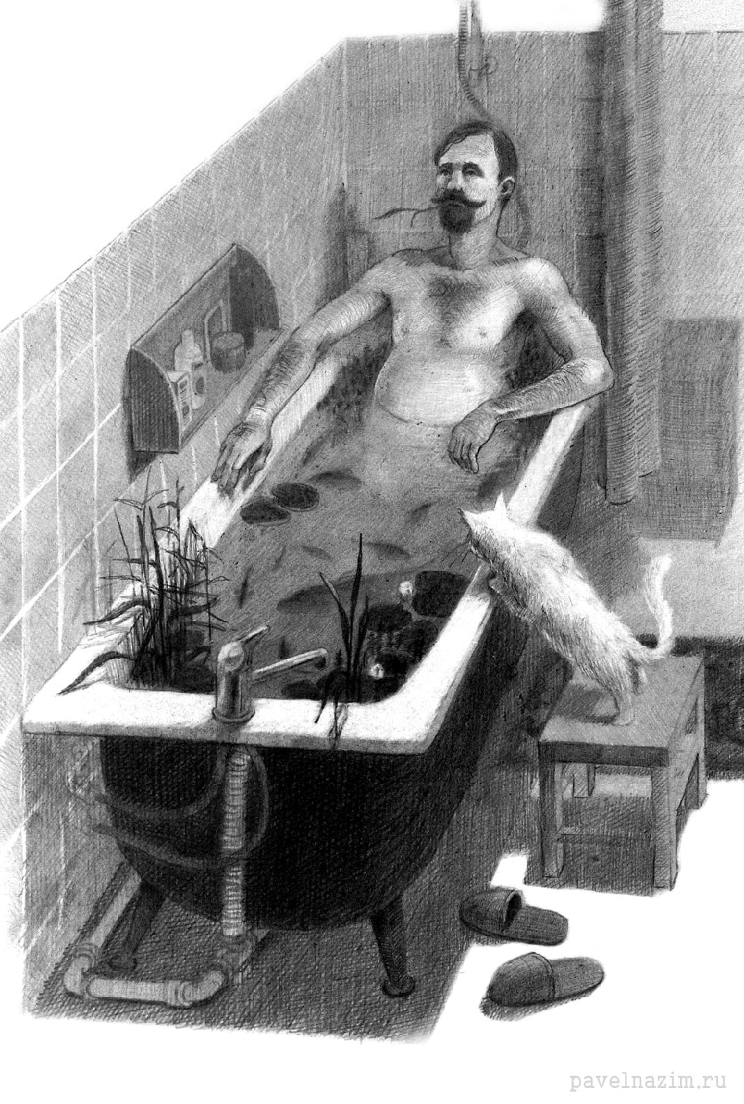 1078x1600, 604 Kb / Павел Назим, ванна, кот, камыш, болото