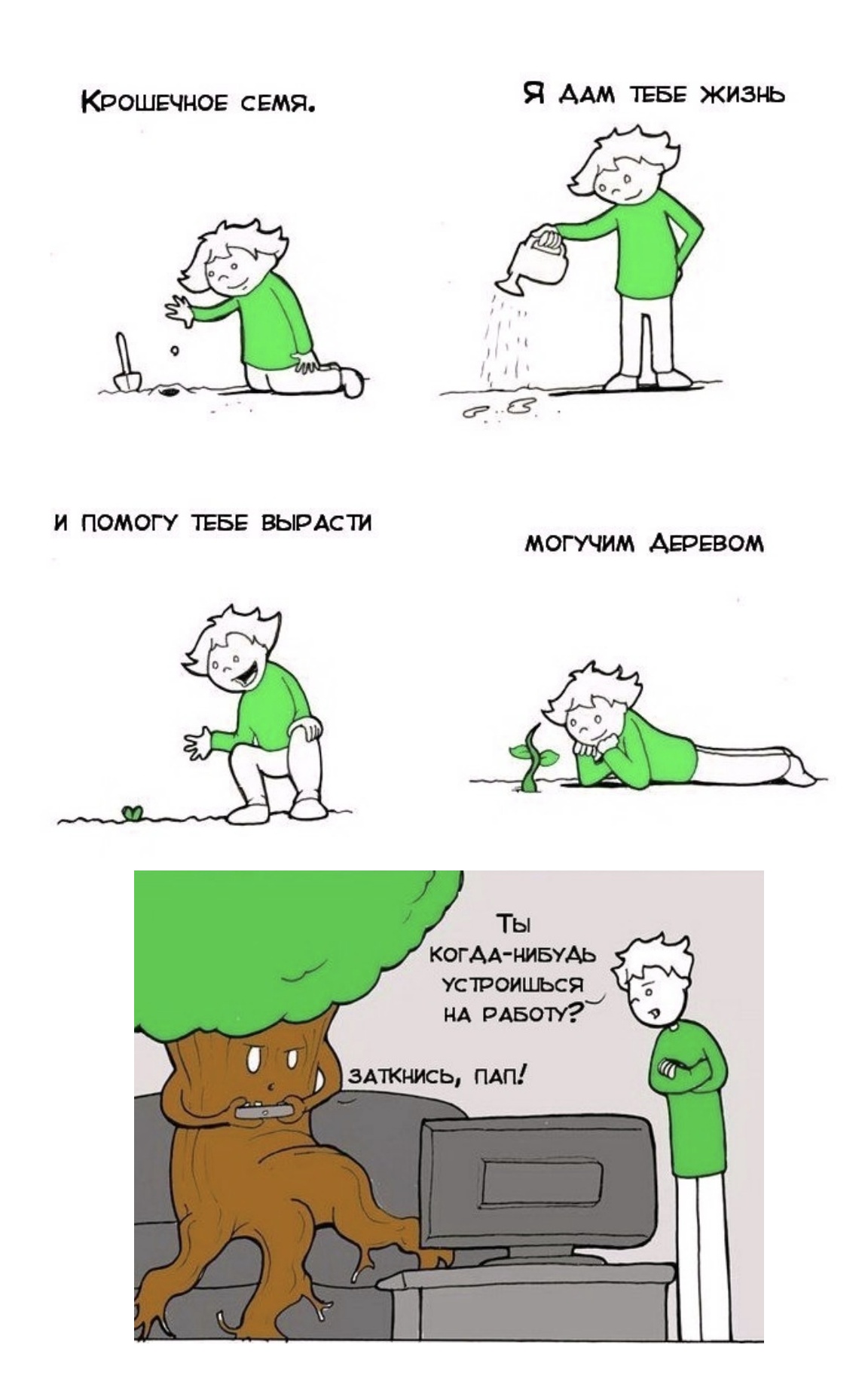 1144x1856, 264 Kb / семя, дерево