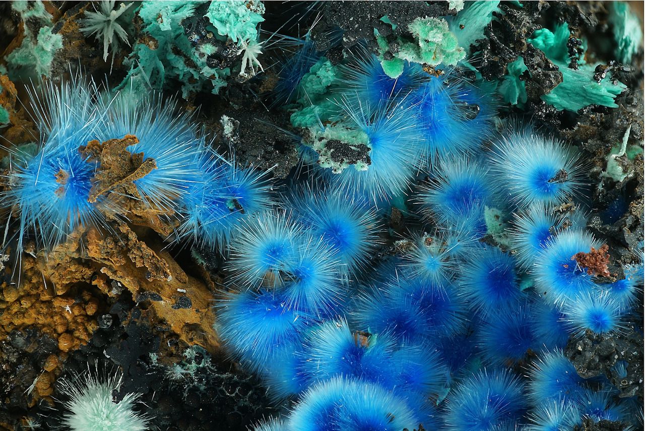 1280x855, 317 Kb / минерал, цианотрихит, голубой