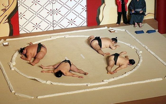 700x439, 62 Kb / сумо, ничья