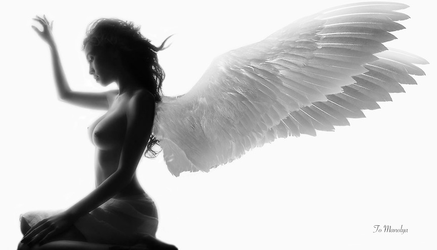 863x493, 47 Kb / ангел, крылья