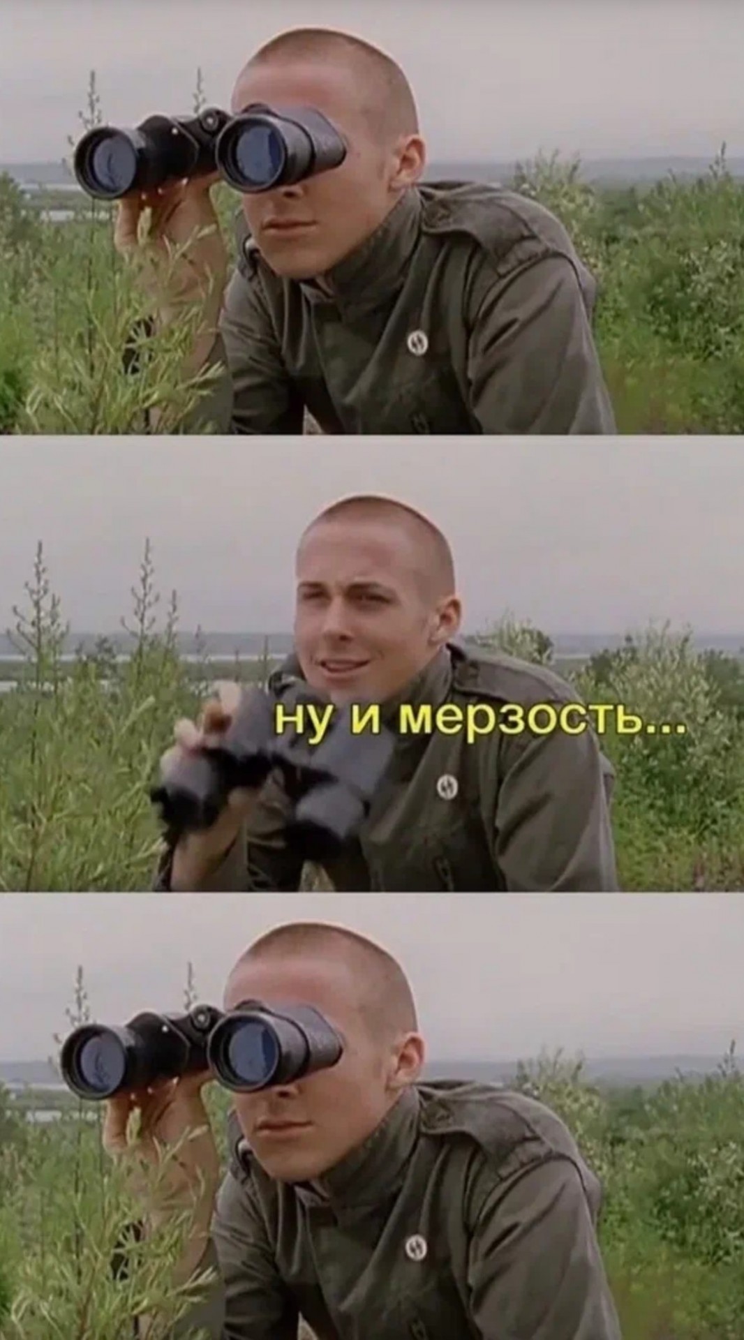 1066x1920, 246 Kb / бинокль, наблюдение, мерзость