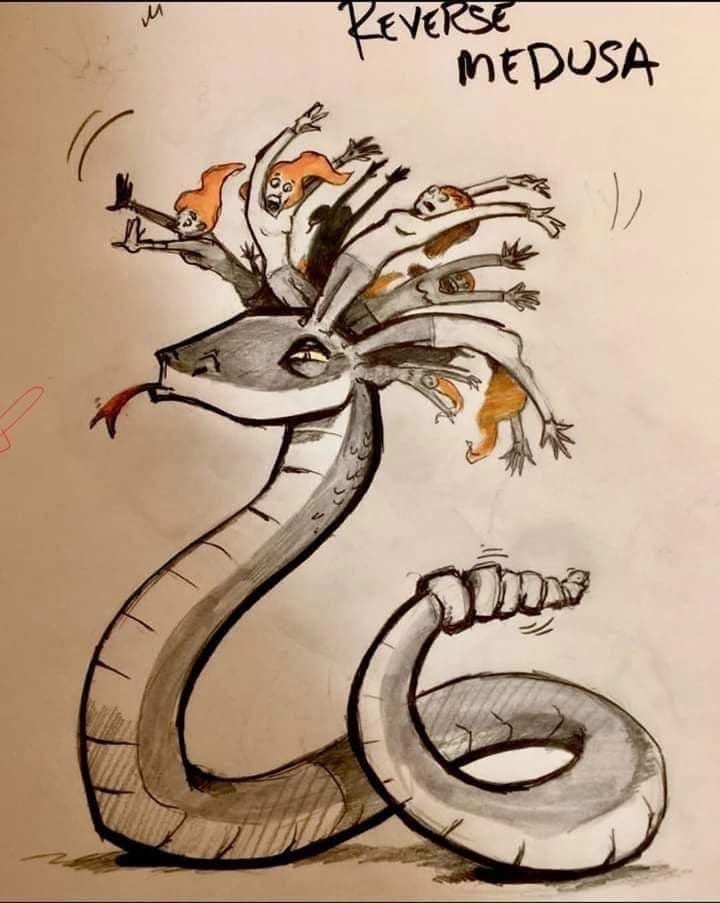 720x903, 116 Kb / змея, волосы, люди, Горгона Медуза