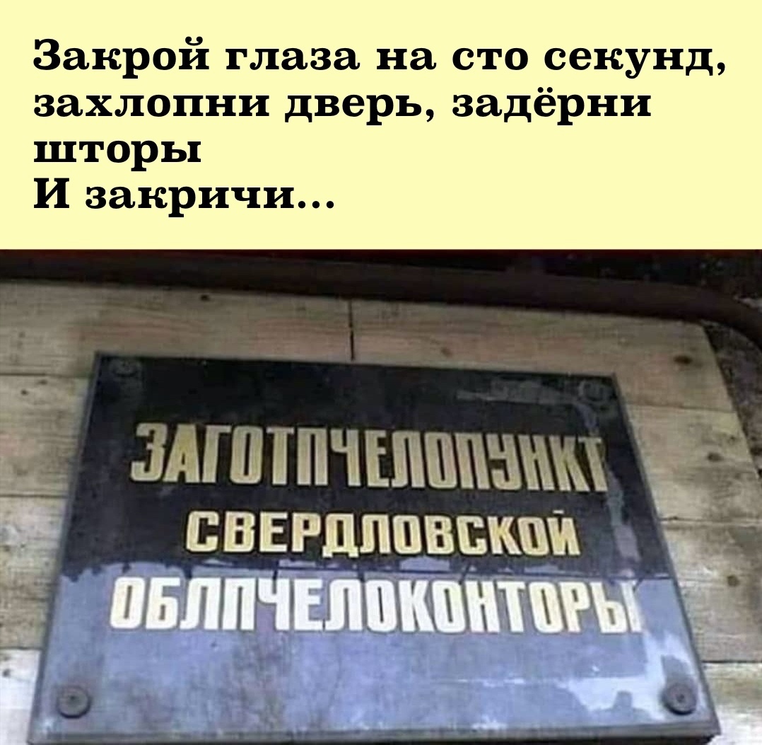 1078x1053, 284 Kb / рифмы, вывески, заготовка, пчёл