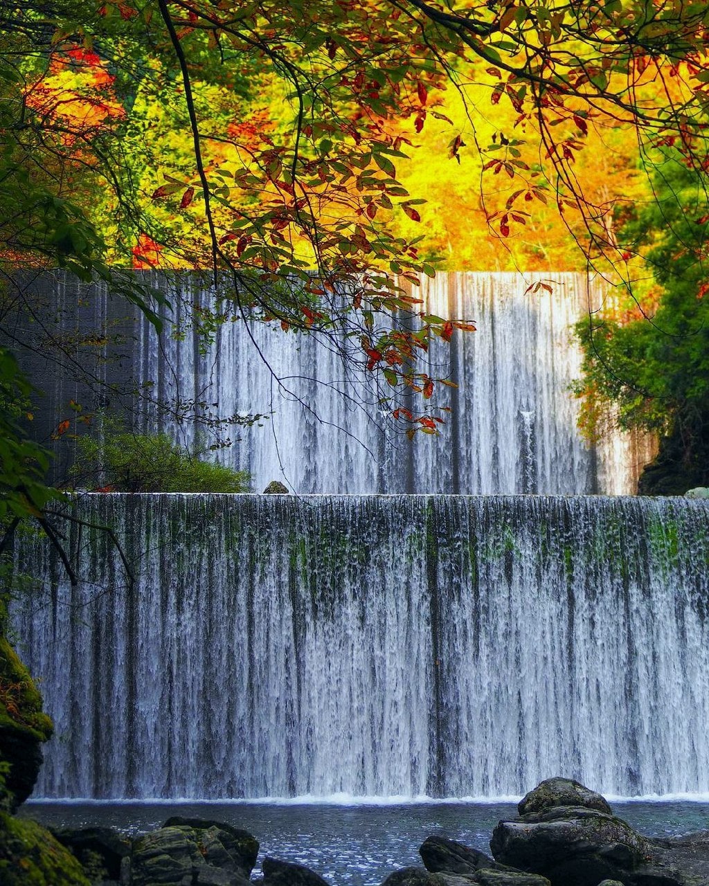 1024x1280, 456 Kb / Плотина Сабо, долина Ясуи, город Коти, водопад, водосброс, водослив, камни, ветки, осень