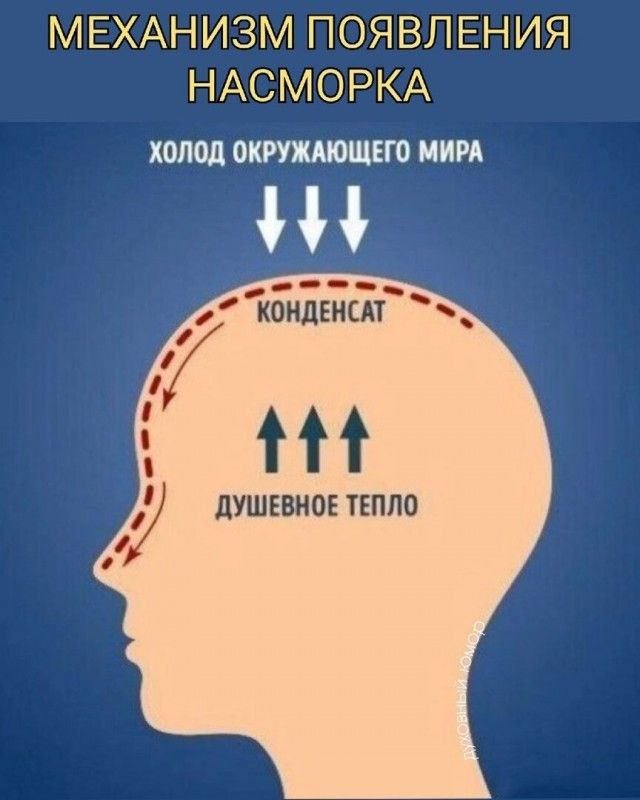 640x800, 53 Kb / Инфографика, насморк