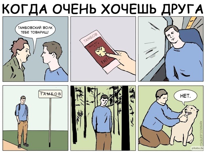 700x519, 111 Kb / волк, друг, Тамбов, товарищ