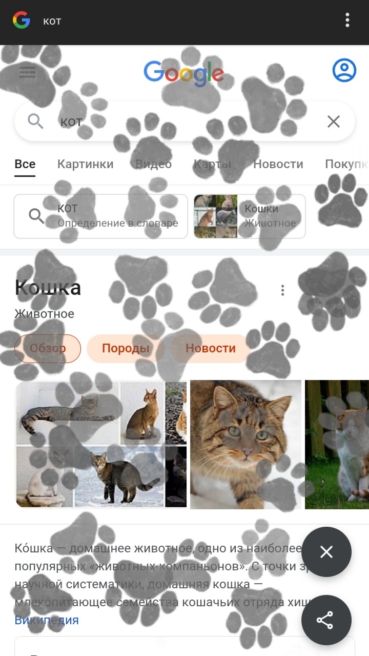 720x1279, 200 Kb / Гугл, кот, лапка