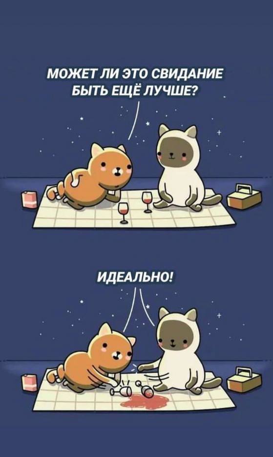 559x934, 40 Kb / кошки, свидание, рюмки, вино, пикник