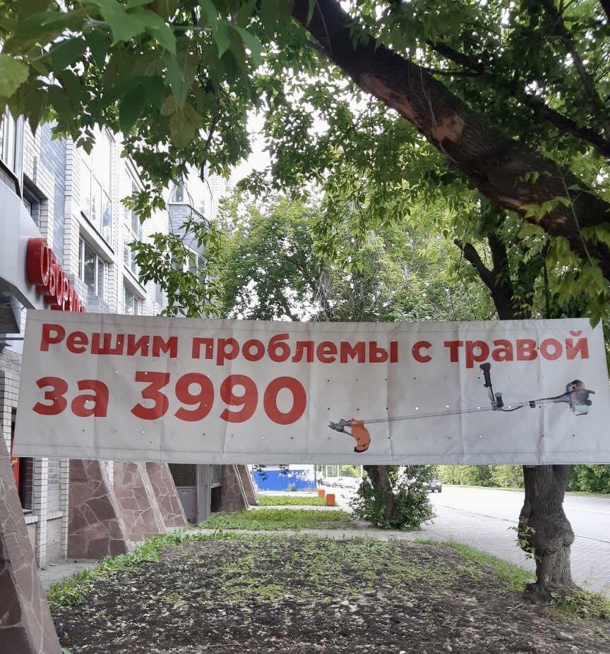 864x927, 218 Kb / трава, проблема