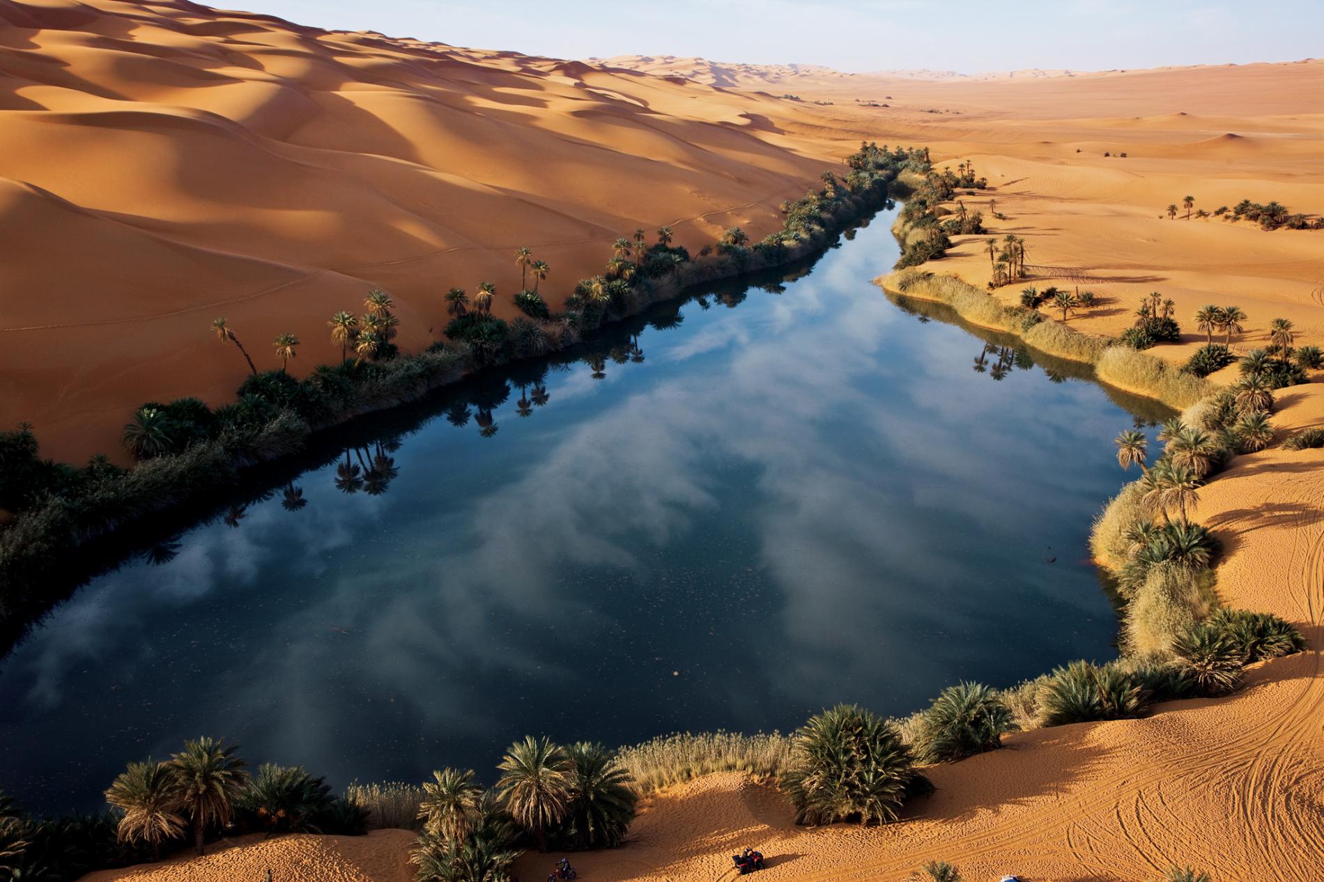 1900x1266, 301 Kb / пустыня, Африка, оазис, песок, пальмы