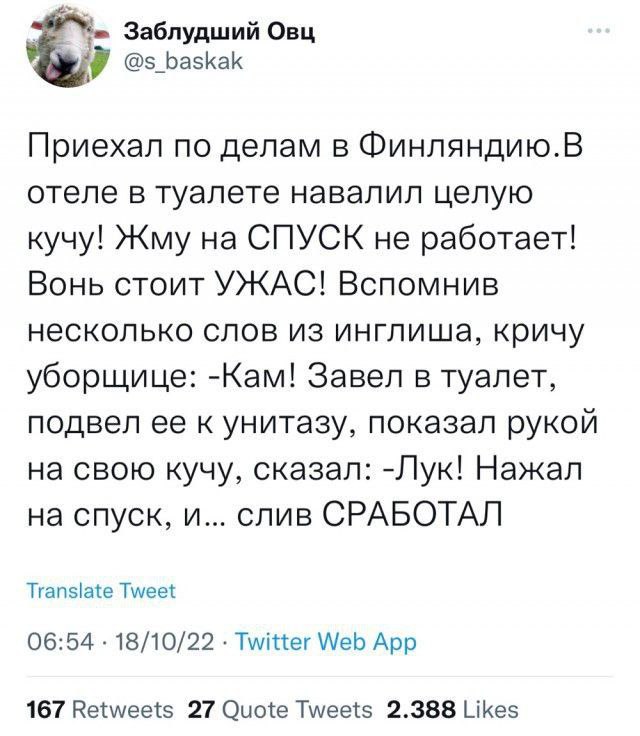 640x736, 71 Kb / Фины, отель, слив, куча, унитаз