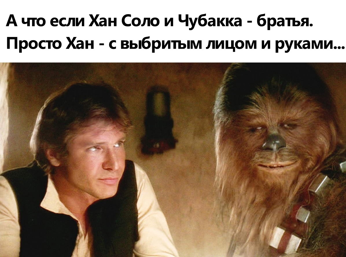 1196x888, 230 Kb / SW, Star Wars,  Звёздные войны, Чубакка, Хан Соло