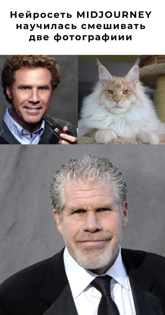 670x1280, 99 Kb / нейросеть, микс, кот, мейнкун, Рон Перлман, Уилл Феррелл