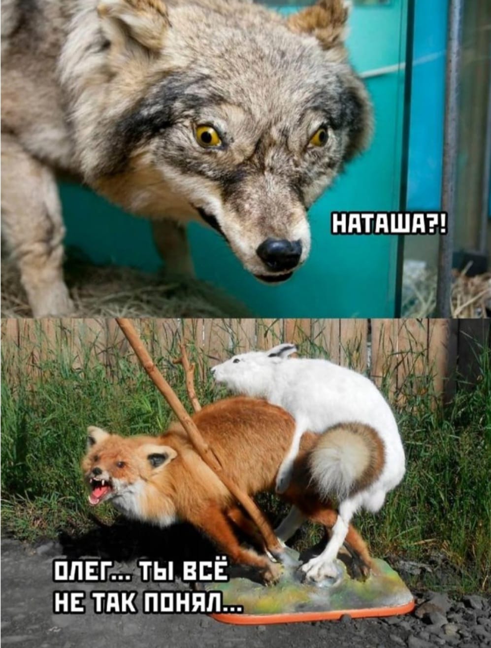 997x1315, 157 Kb / Олег, Наташа, не так, измена, чучела