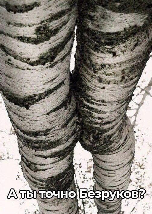 504x712, 213 Kb / берёзка, Безруков, ноги