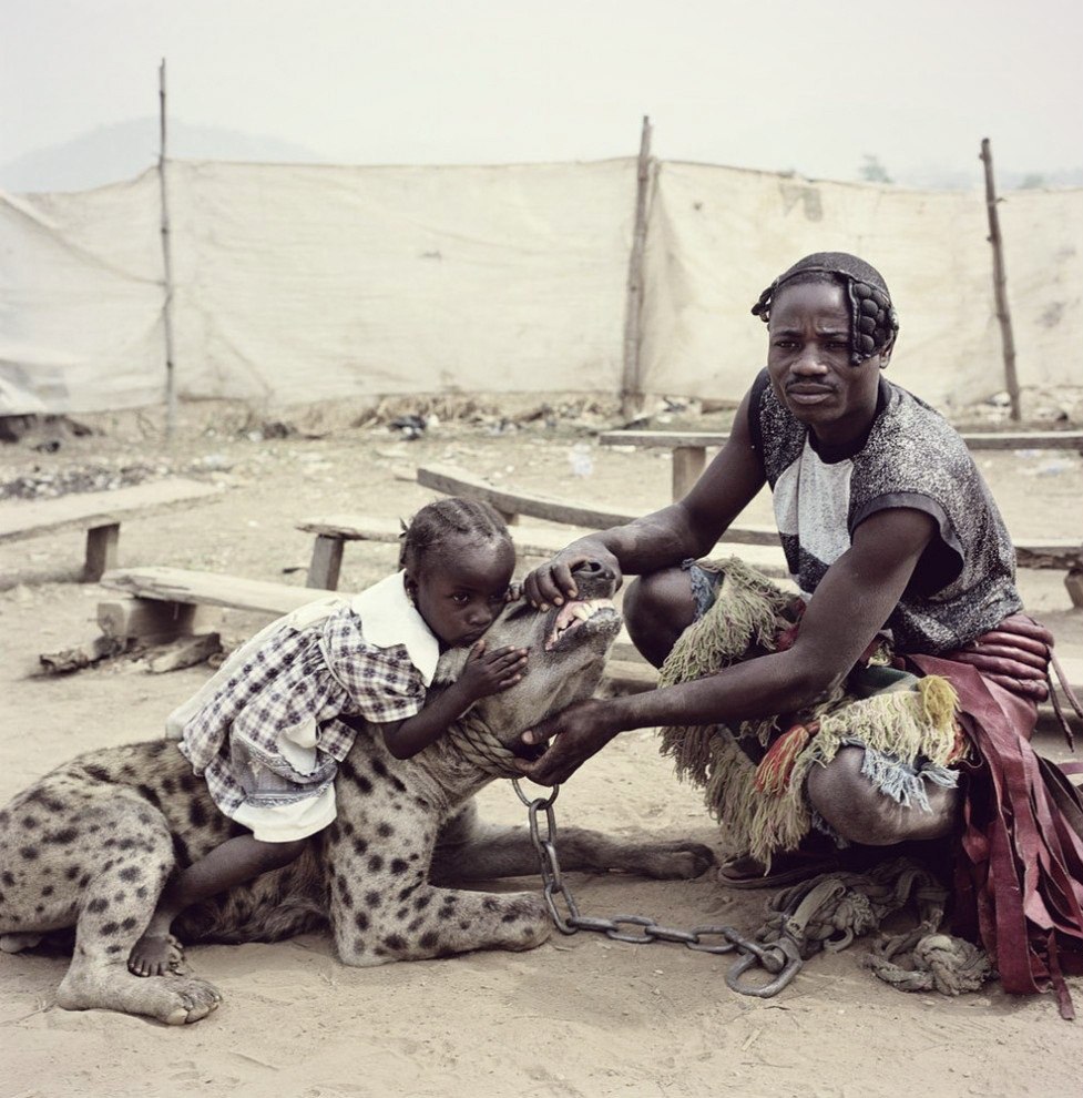 977x990, 192 Kb / гиена