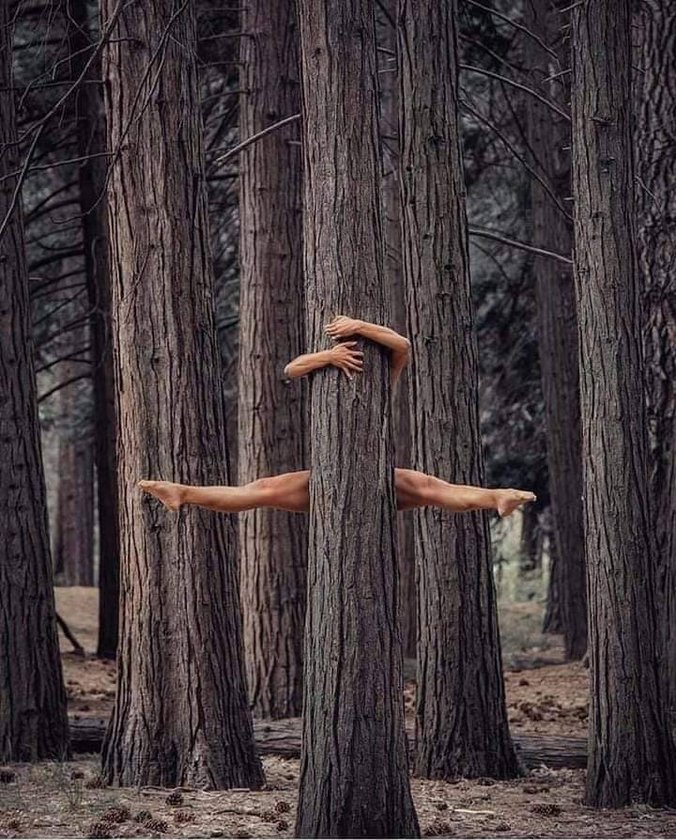 676x840, 163 Kb / лес, дерево, ноги, руки