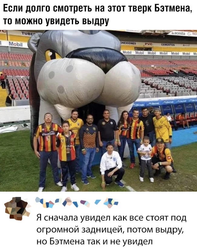 650x824, 133 Kb / Выдра, бэтмен, задница, жопа, попа, футбол, стадион, тверк, кролик