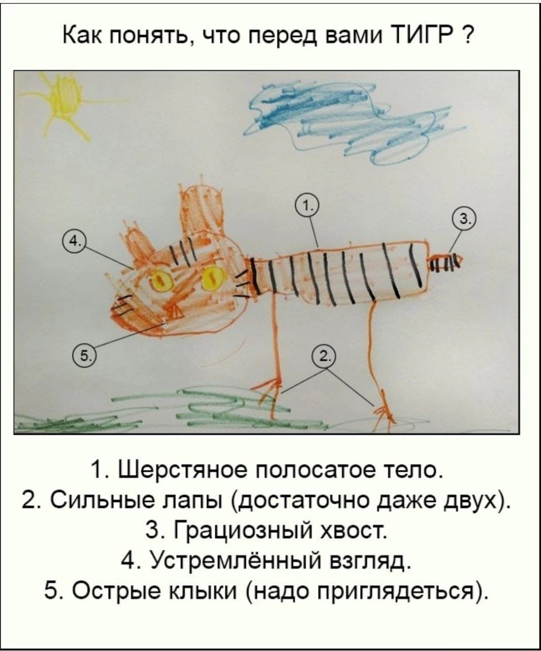 1065x1280, 110 Kb / тигр, детский, рисунок