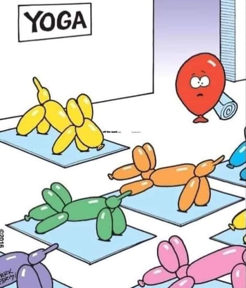 820x960, 54 Kb / Йога, шарик, собака, коврик