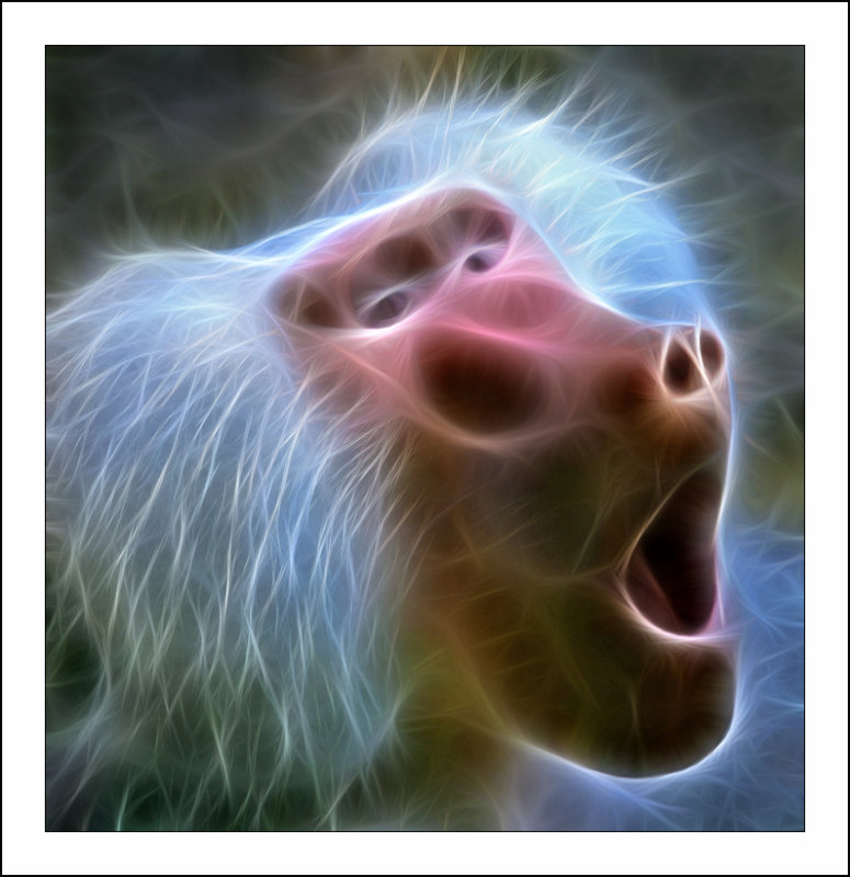 775x800, 95 Kb / обезьяна, фрактал