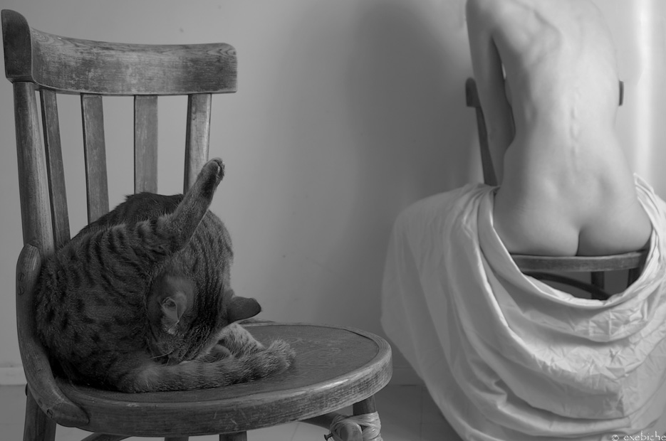 935x620, 136 Kb / стулья, ч/б