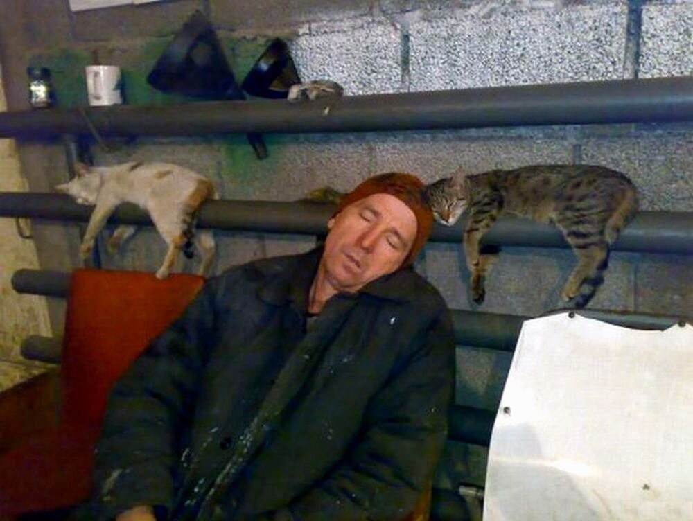 1000x752, 142 Kb / спит, кот, труба, воронка