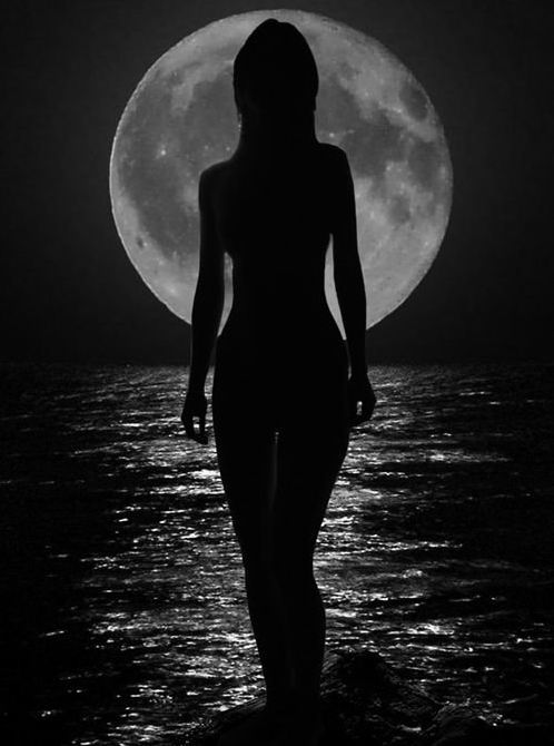 498x670, 41 Kb / силуэт, луна