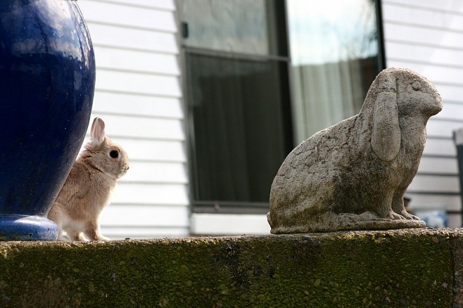 658x438, 77 Kb / зайчик, скульптура