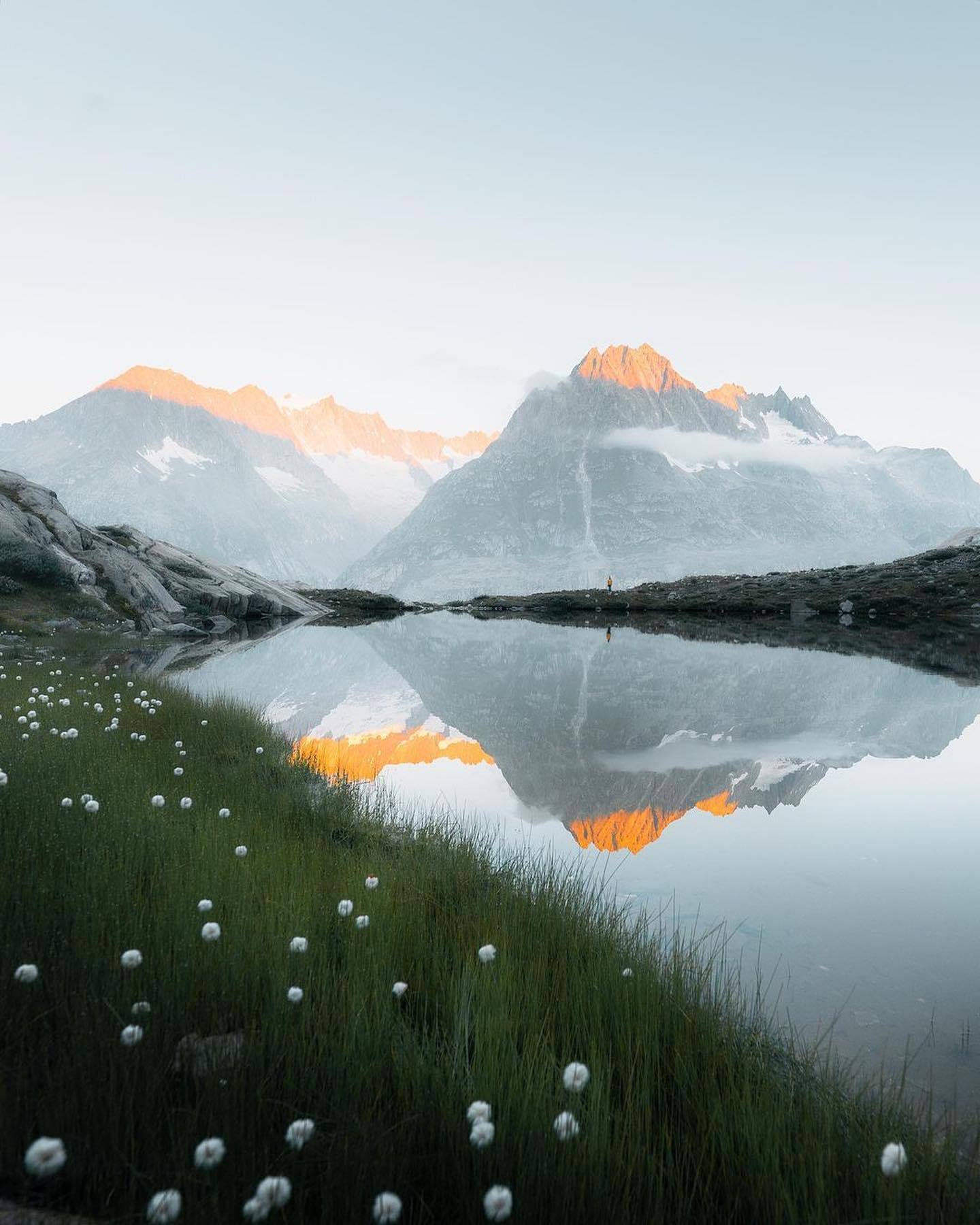 1440x1800, 198 Kb / горы, отражение, цветы, трава, озеро, река