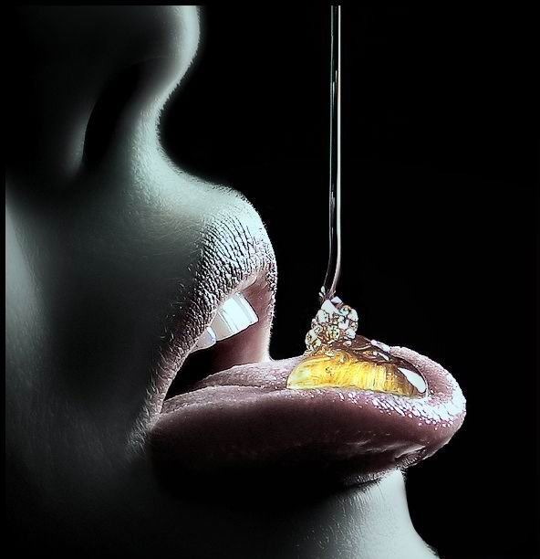 592x612, 37 Kb / мед, рот