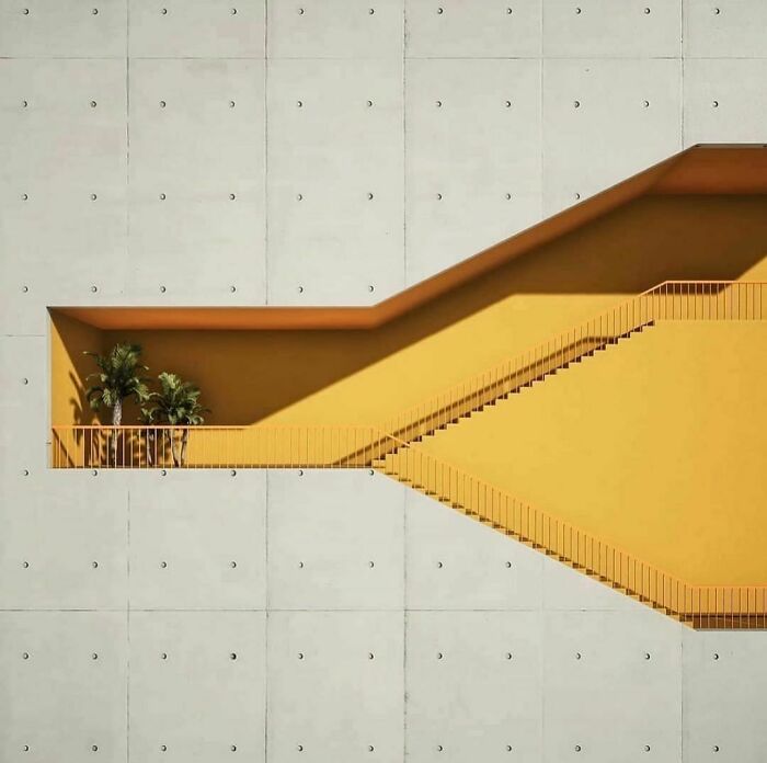 700x696, 39 Kb / стена, лестница, желтая, пальмы