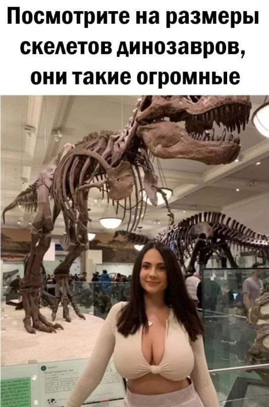 533x804, 53 Kb / Динозавр, скелет, декольте, музей