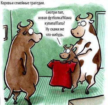373x361, 36 Kb / коровы, быки, футболка, трагедия