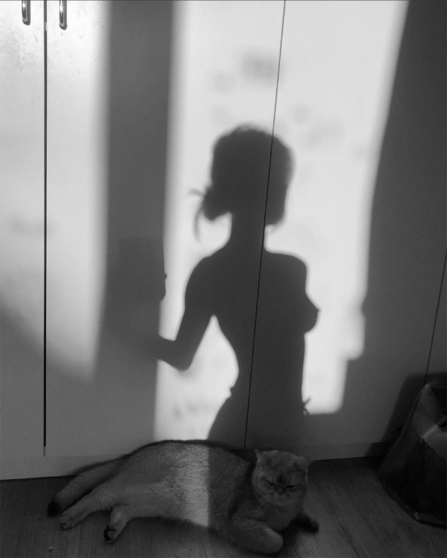 900x1123, 346 Kb / девушка, тень, кот, кошка, ч/б