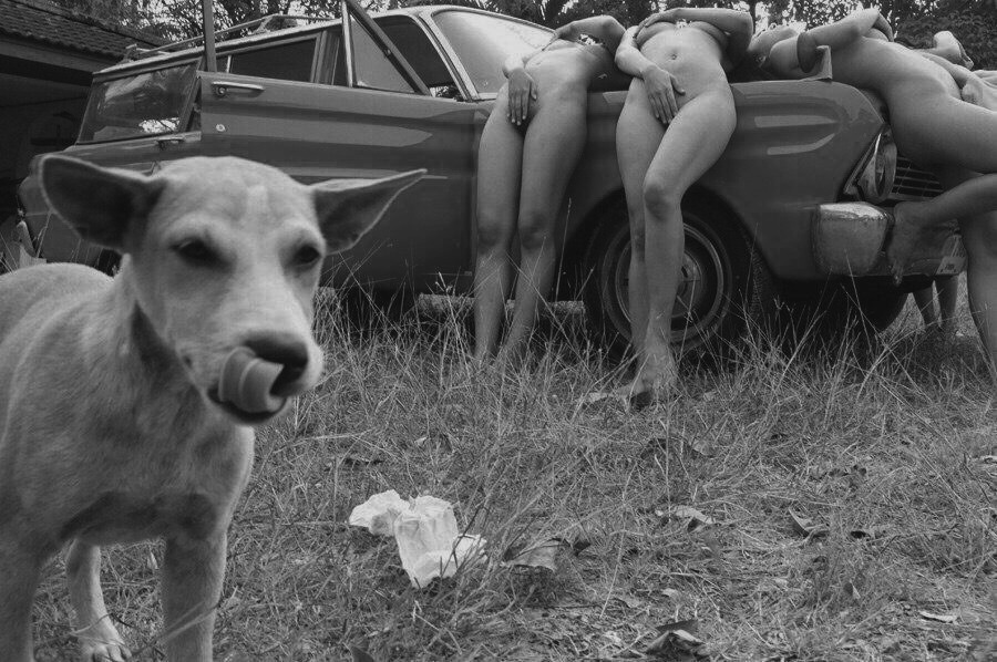 900x598, 164 Kb / пёс, собака, голые, автомобиль, мусор, универсал, ч/б