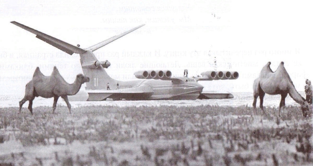 1200x635, 276 Kb / Экраноплан, Каспийске море, верблюды, КМ-1, ч/б