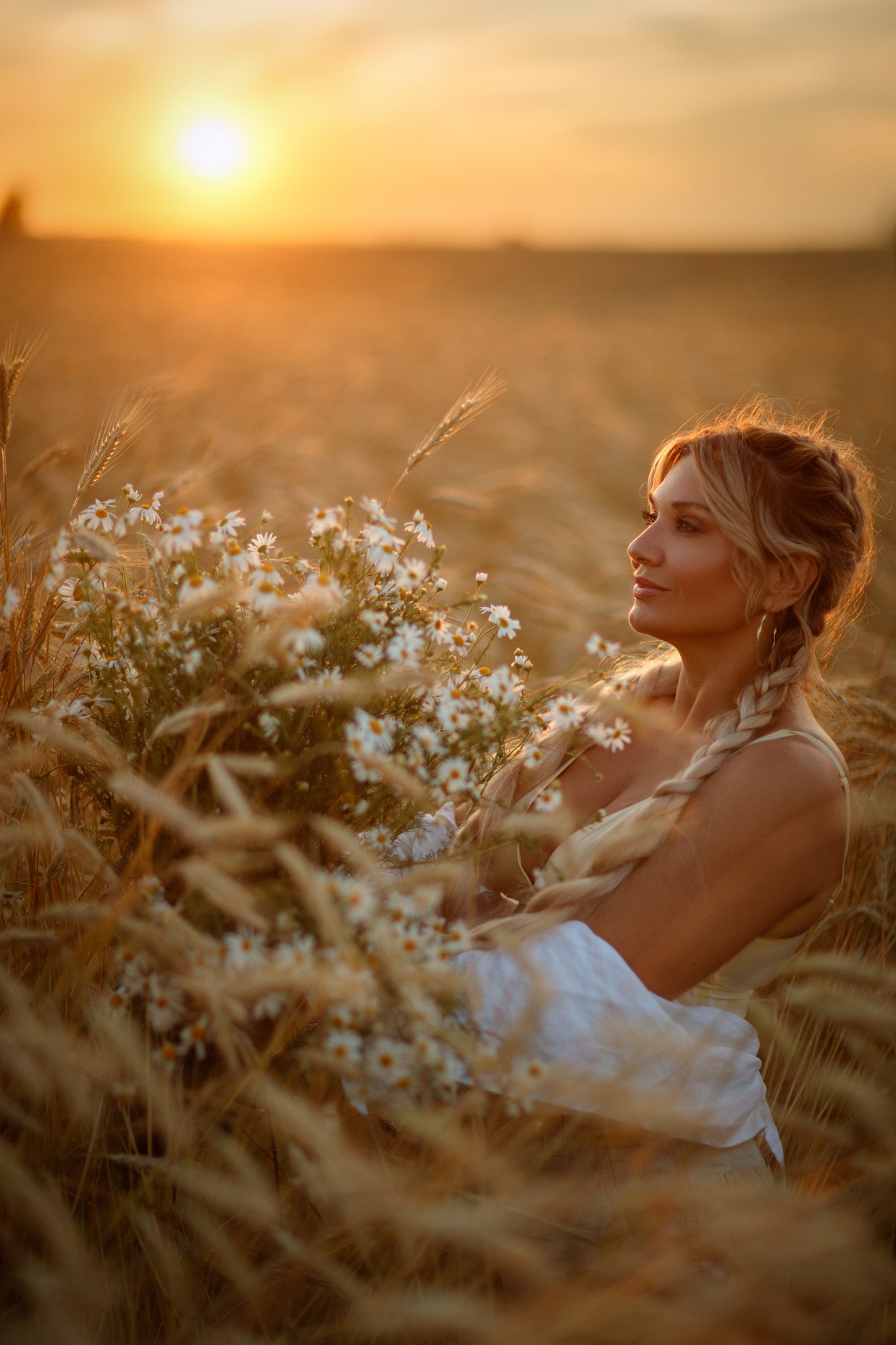 1237x1855, 605 Kb / блондинка, коса, поле, закат, ромашки, букет, колоски, пшеница