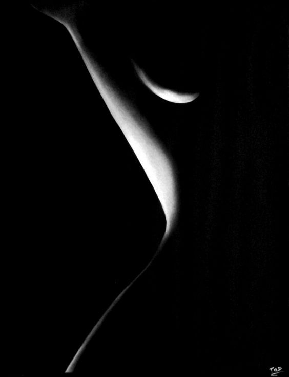 564x734, 20 Kb / ч/б, изгиб, силуэт