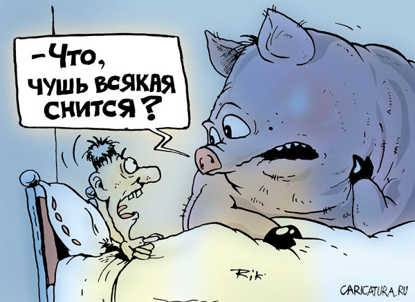 600x437, 75 Kb / сон, кошмар, чушь, свинья